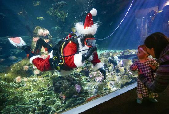 Hút khách bằng ông già Noel trong bể cá